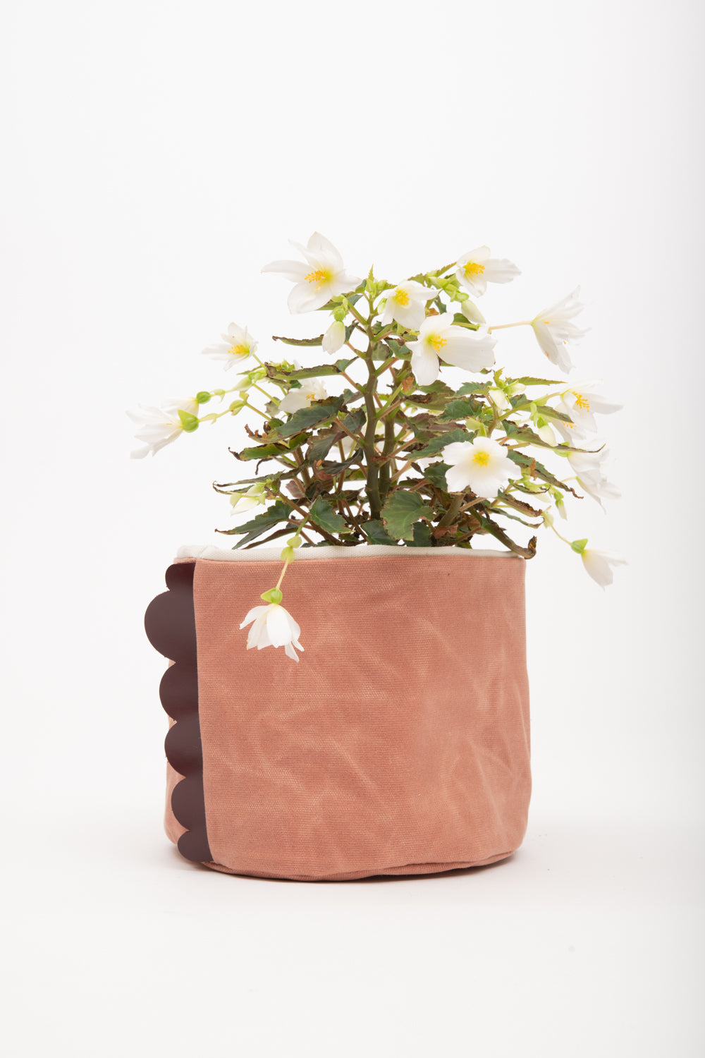 House basket, flowerpot holder, storage bin in waxed canvas CHARLOTTE model