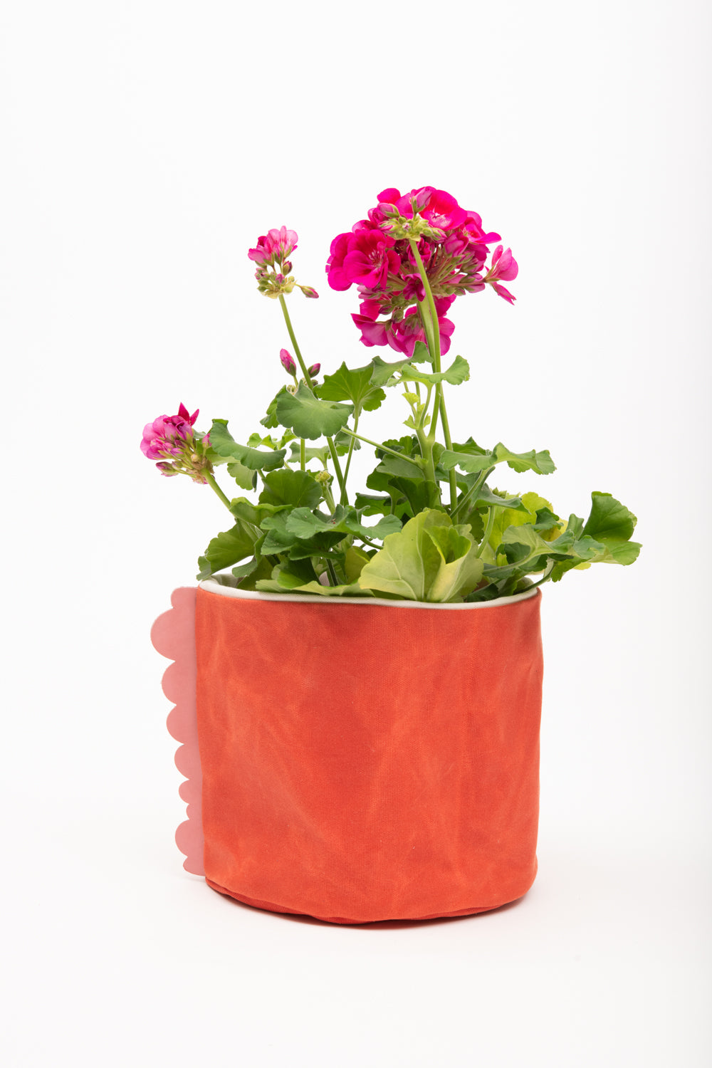 House basket, flowerpot holder, storage bin in waxed canvas CHARLOTTE model