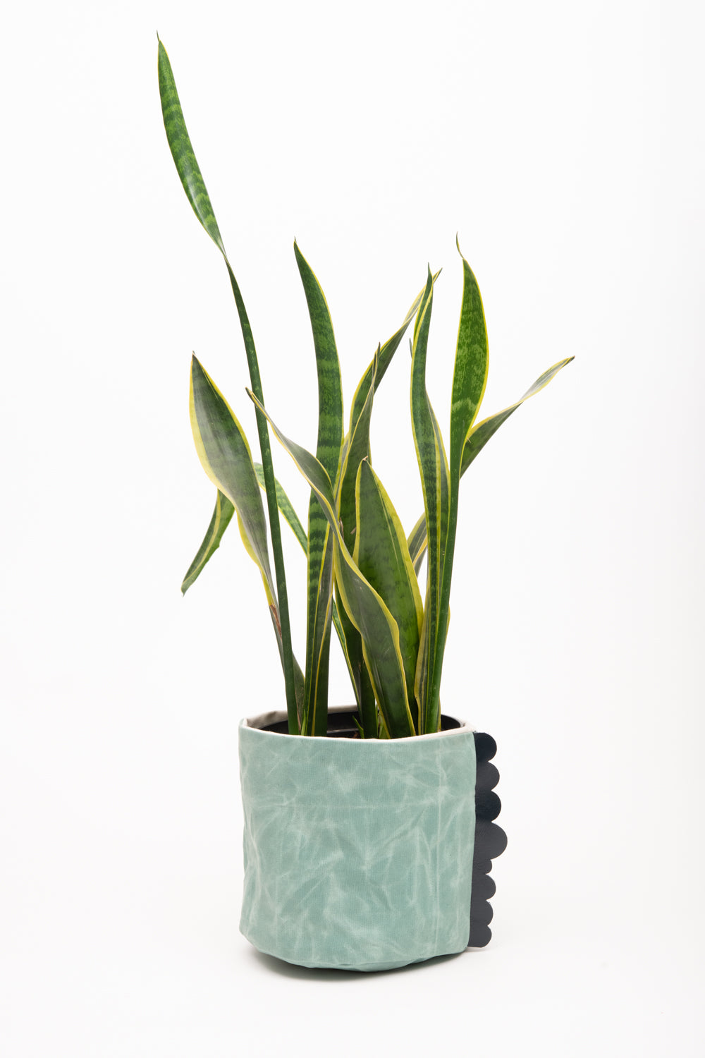 House basket, flowerpot holder, storage bin in waxed canvas CHARLOTTE model