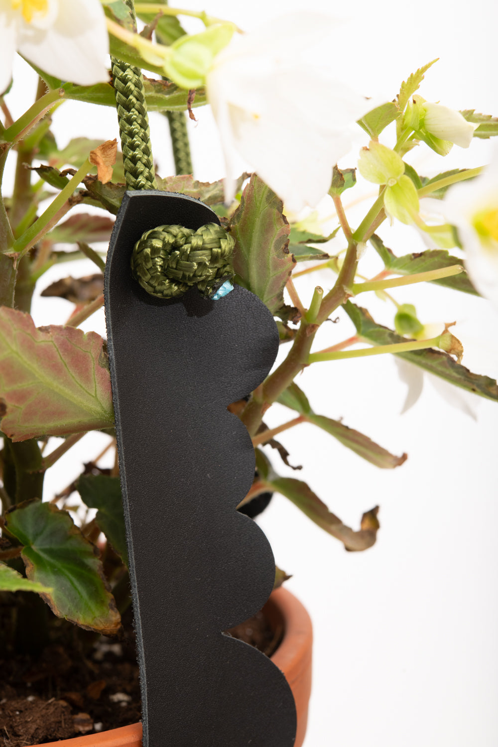 Plant hanger in upcycled leather and rope FRAISIER model