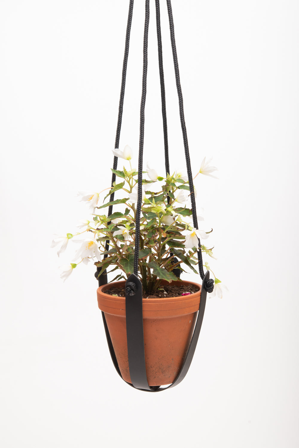 Plant hanger in upcycled leather and rope FRAISIER model