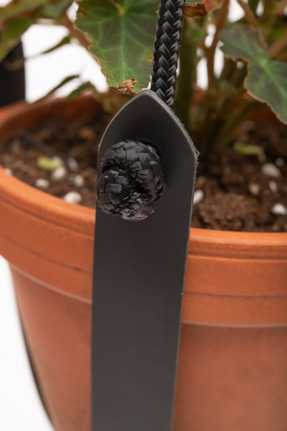 Plant hanger in upcycled leather and rope FRAISIER model