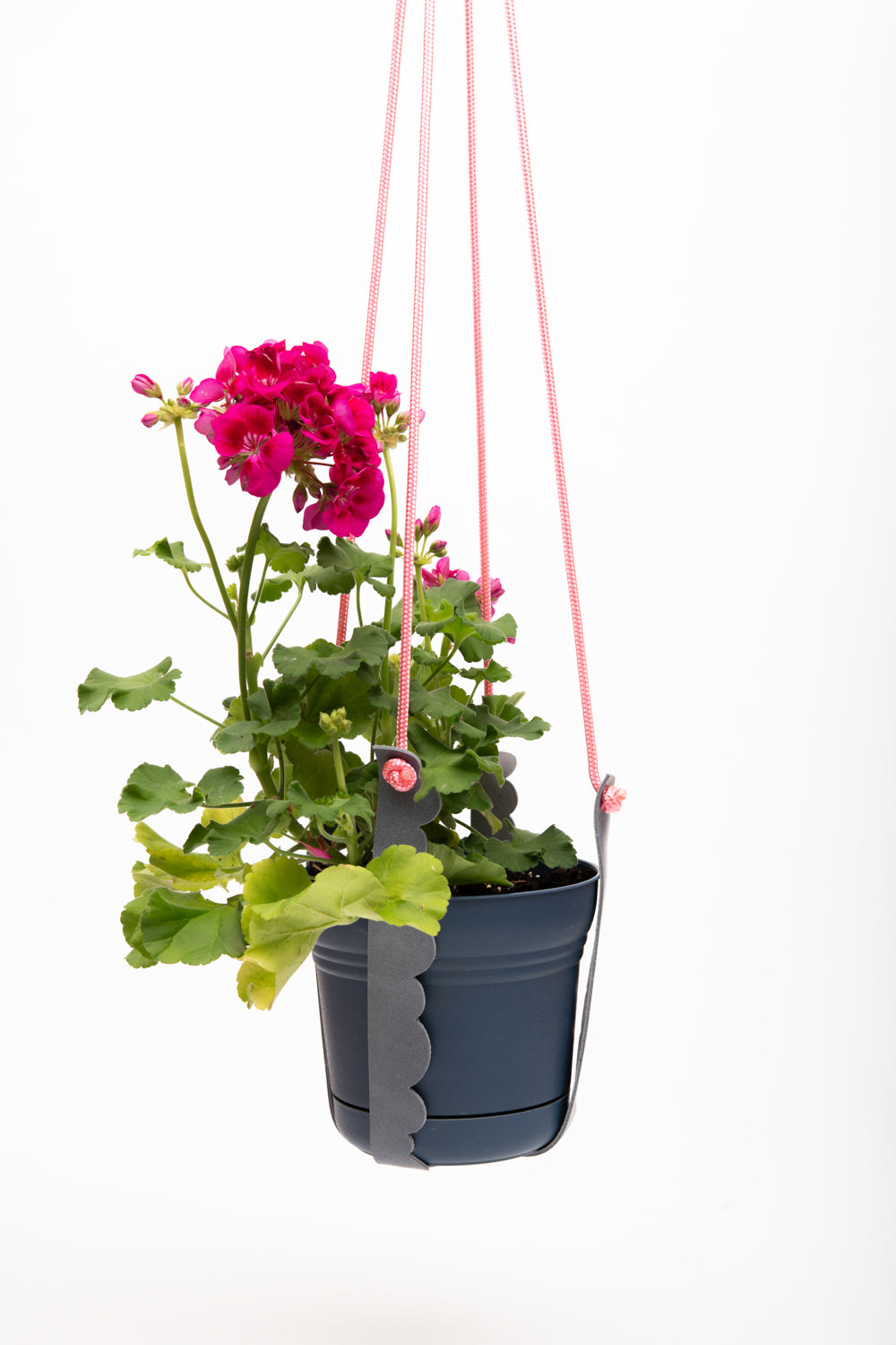 Plant hanger in upcycled leather and rope FRAISIER model