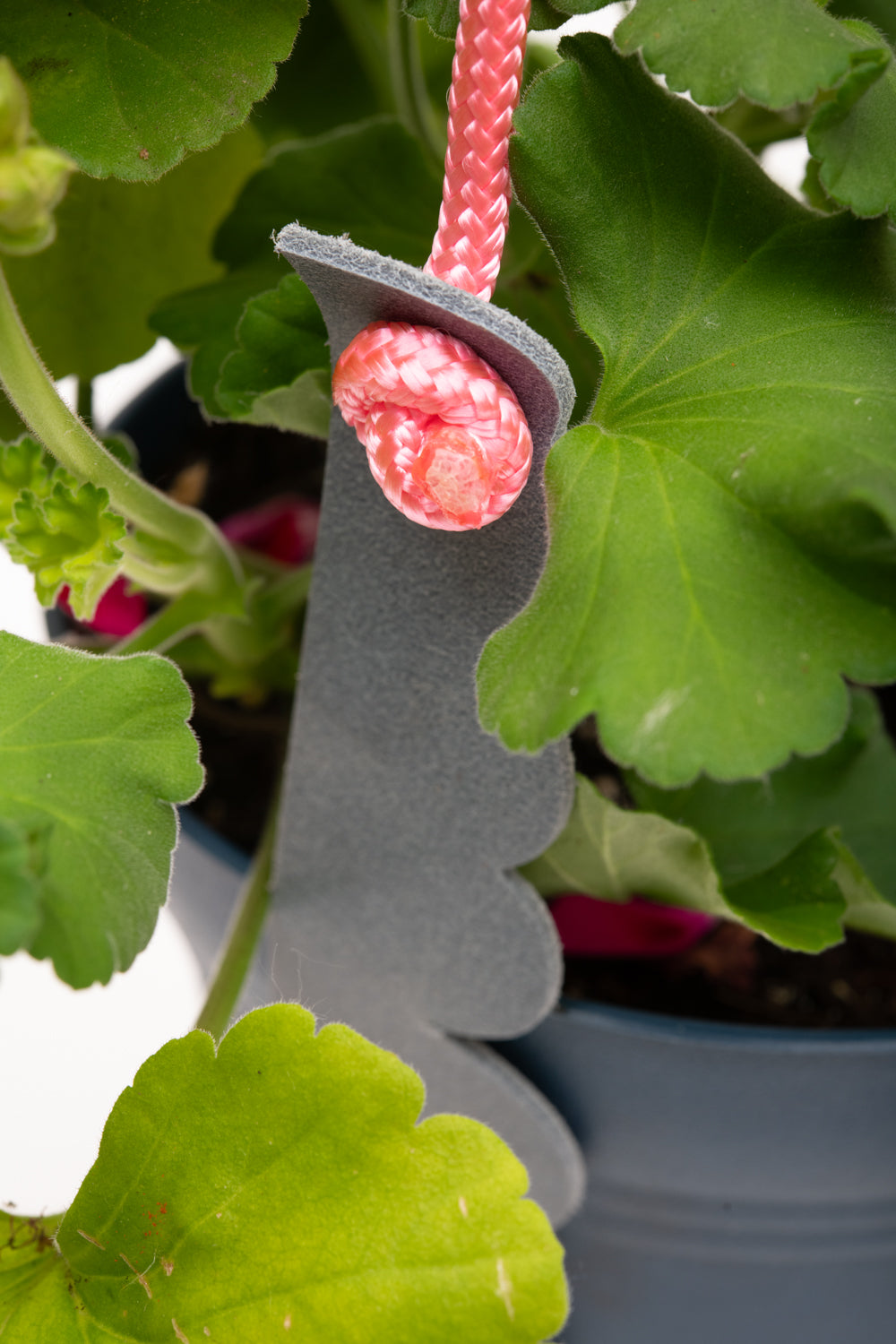 Plant hanger in upcycled leather and rope FRAISIER model