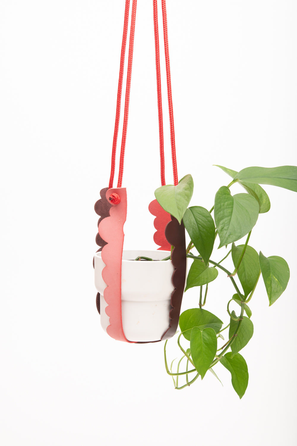 Plant hanger in upcycled leather and rope FRAISIER model