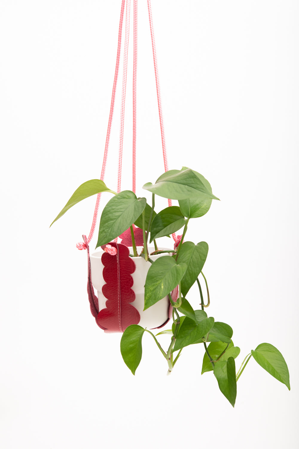 Plant hanger in upcycled leather and rope FRAISIER model