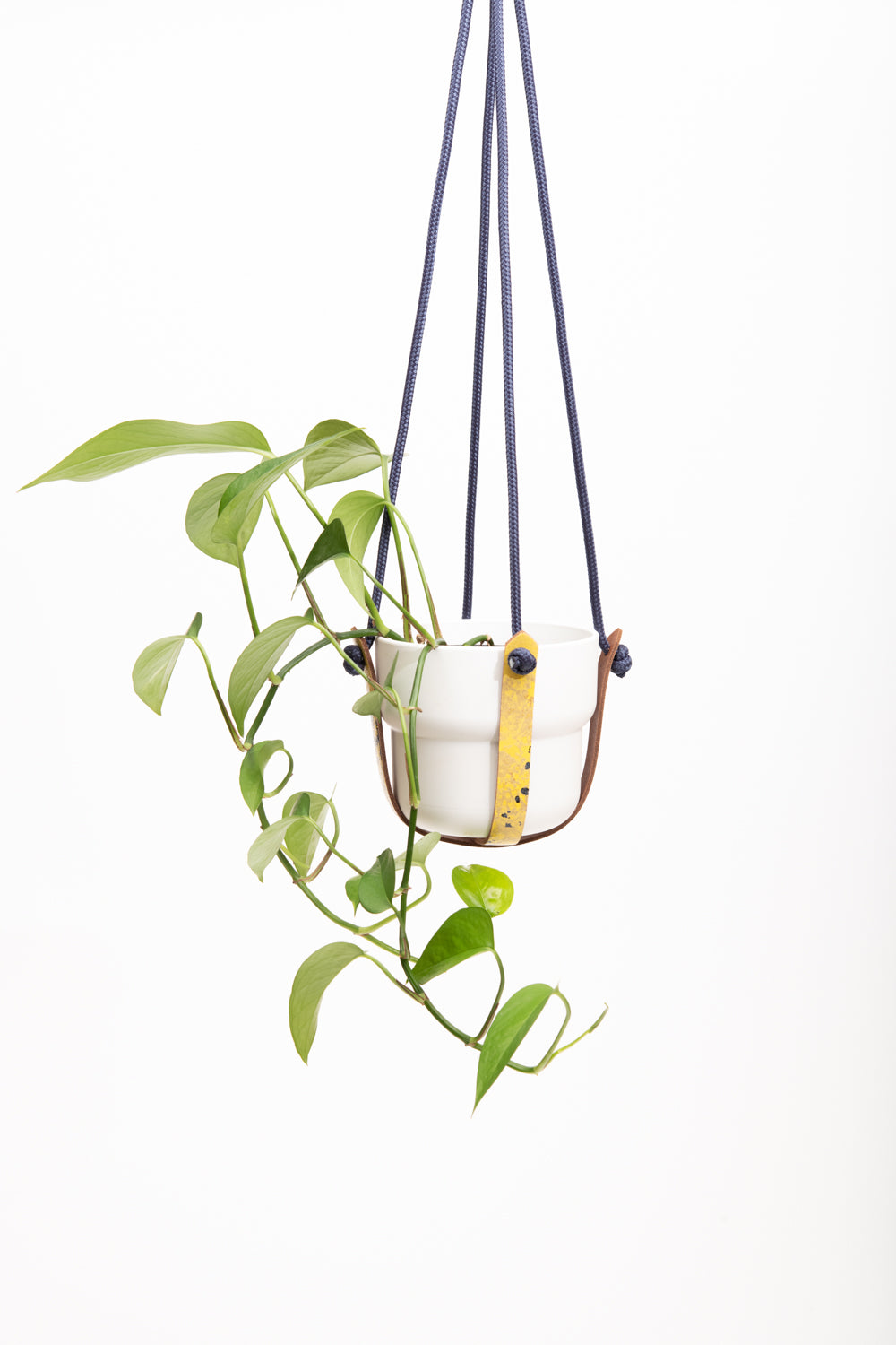 Plant hanger in upcycled leather and rope FRAISIER model