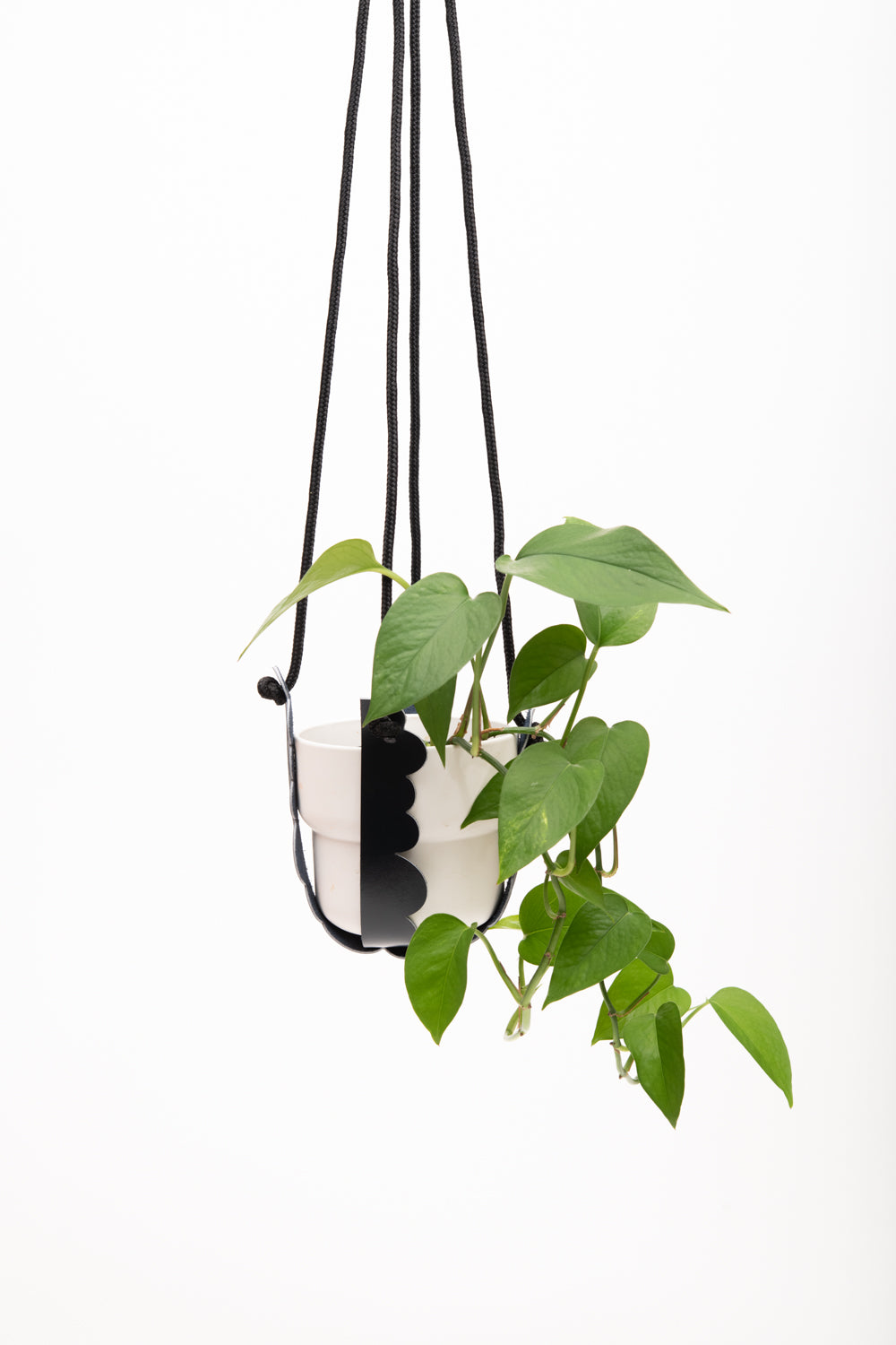Plant hanger in upcycled leather and rope FRAISIER model
