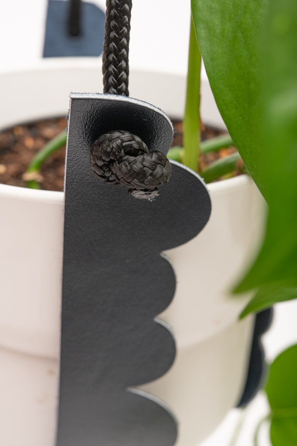 Plant hanger in upcycled leather and rope FRAISIER model