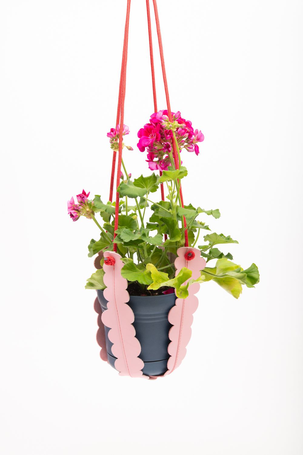 Plant hanger in upcycled leather and rope FRAISIER model