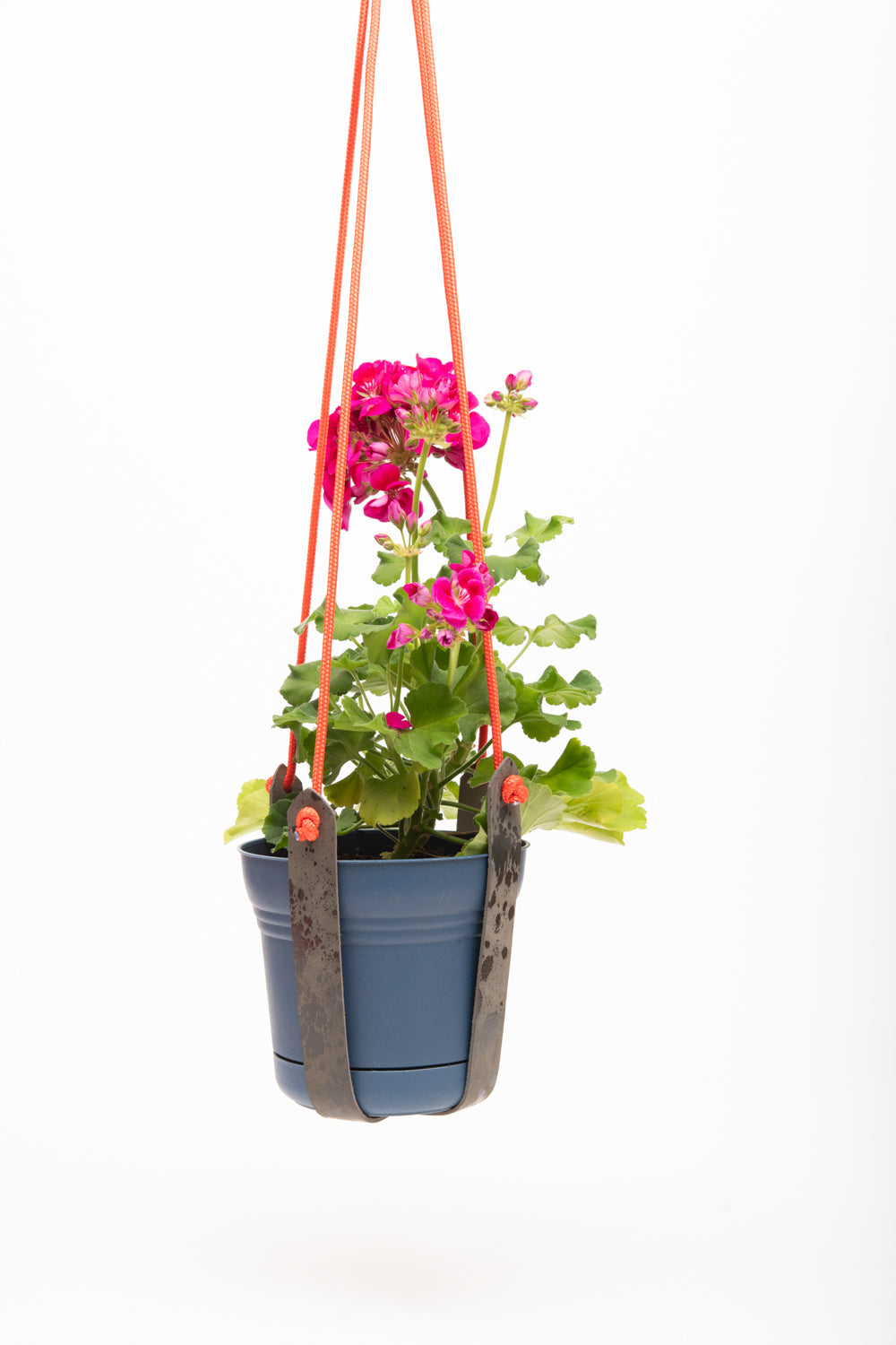 Plant hanger in upcycled leather and rope FRAISIER model
