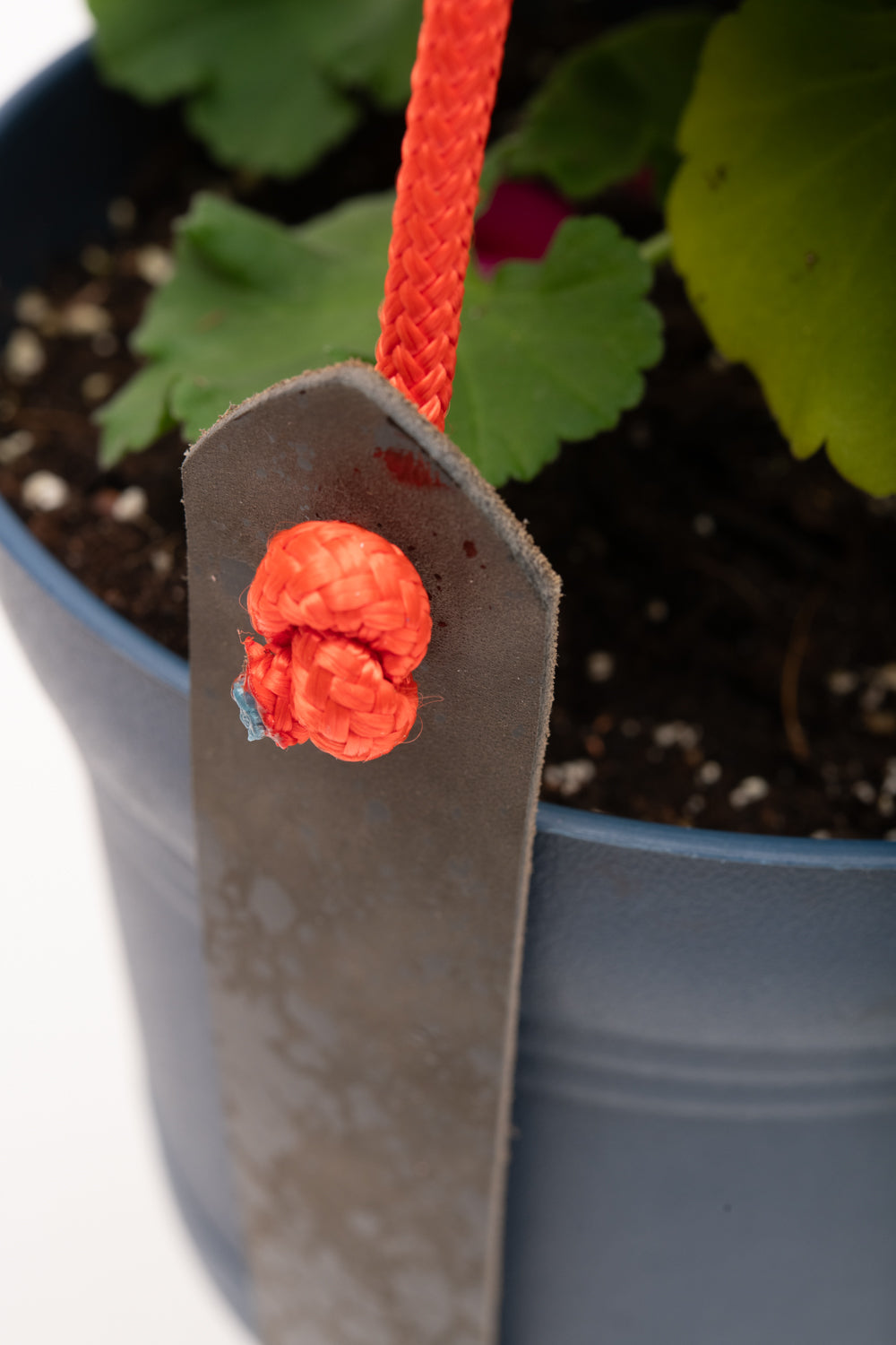 Plant hanger in upcycled leather and rope FRAISIER model