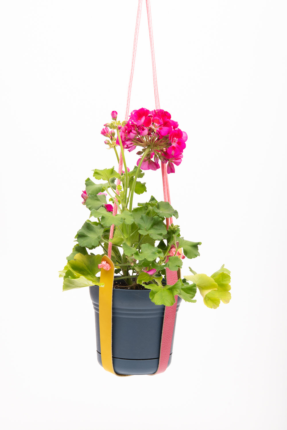 Plant hanger in upcycled leather and rope FRAISIER made to order