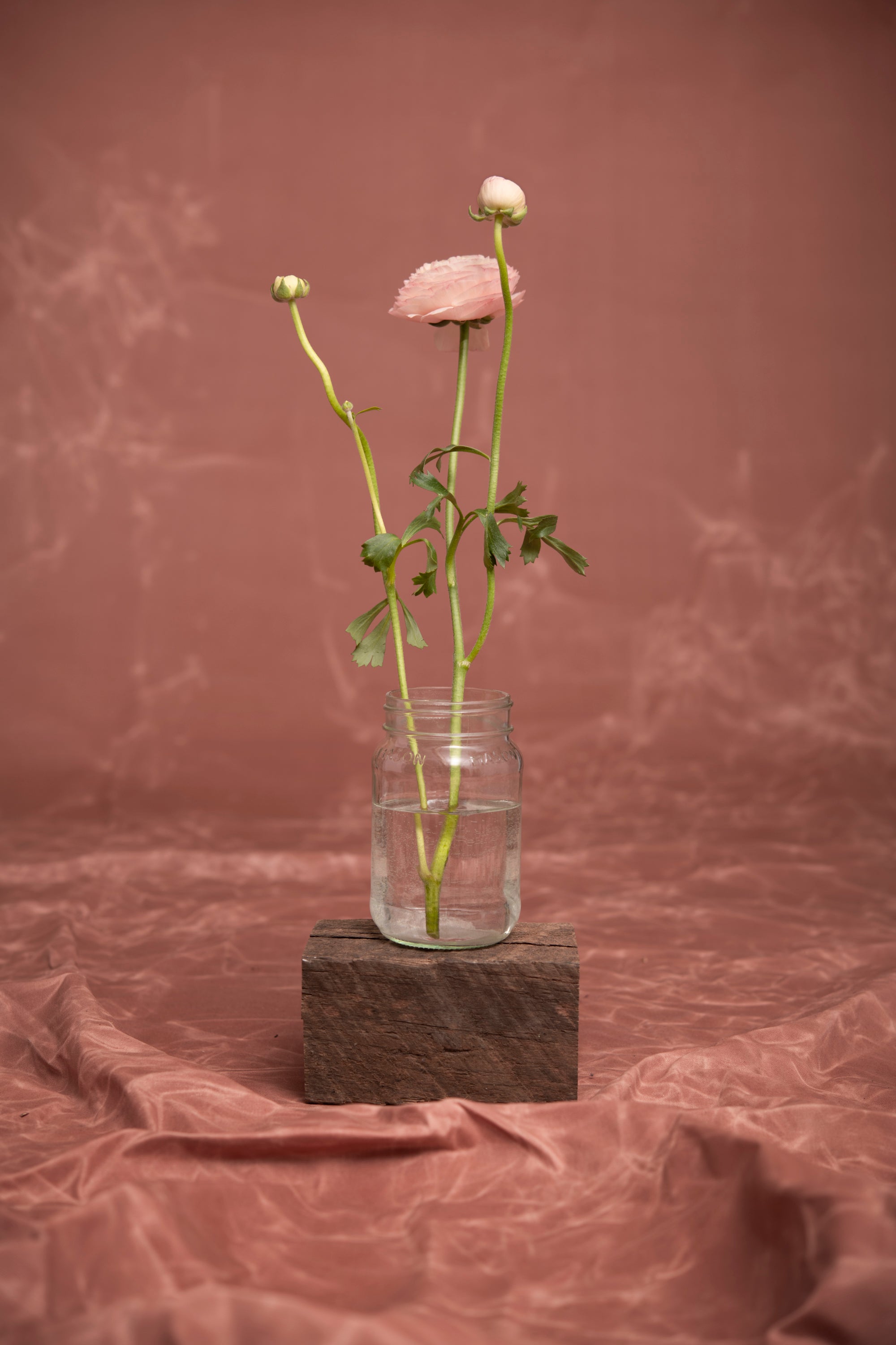 Veinage handmade in Montreal, Canada